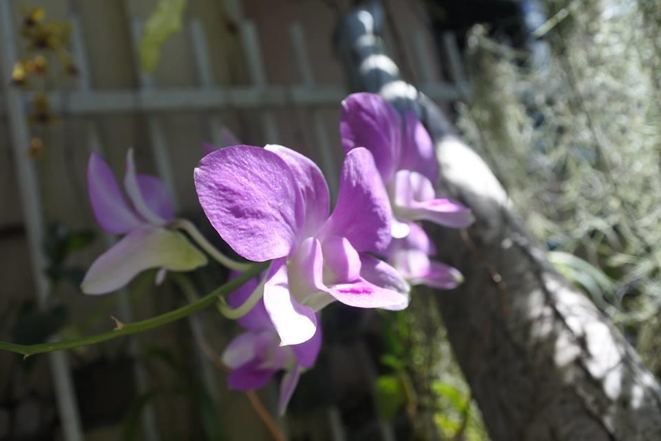 Baannueng@Kathu Hotel Phuket Екстериор снимка